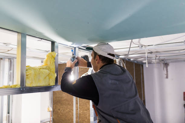 Best Insulation Installation Services in Opp, AL